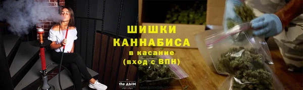 спайс Алзамай