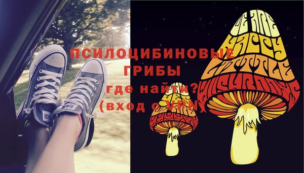спайс Алзамай
