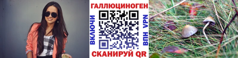 нарко площадка какой сайт  Лермонтов  Галлюциногенные грибы MAGIC MUSHROOMS 